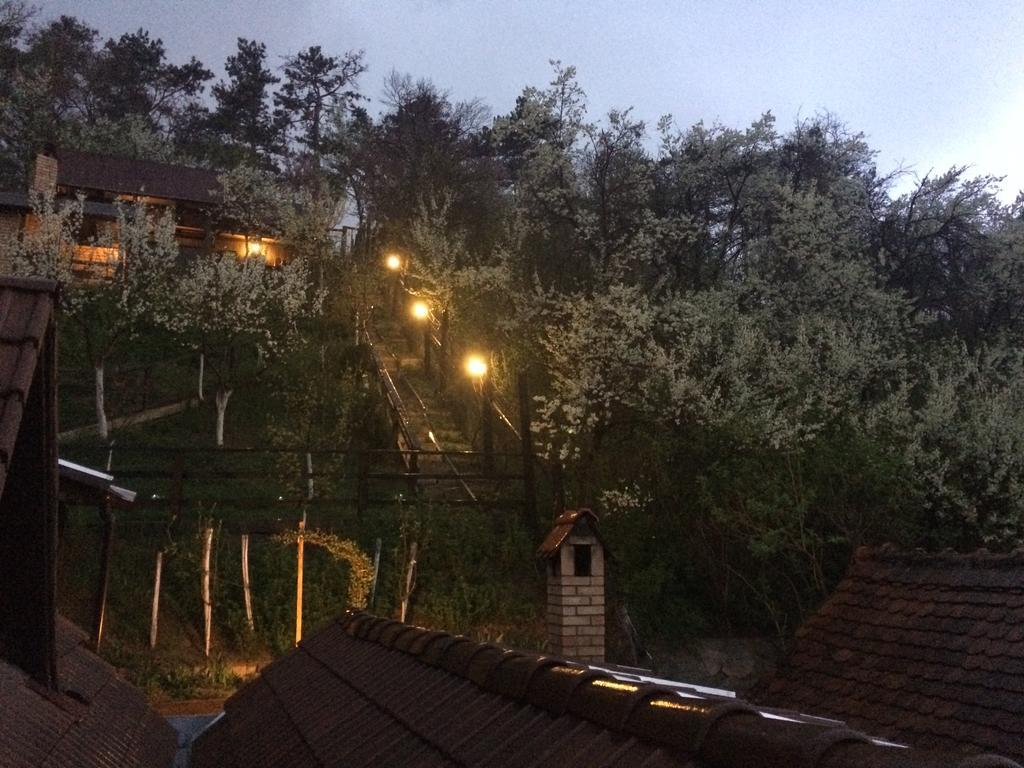 Отель Casa Cu Cerdac Сигишоара Экстерьер фото